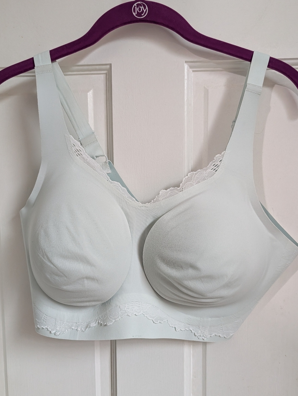 Wireless Lace-Trim Comfort Bra - Light Mint